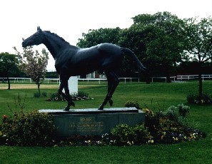 Red Rum statue, in the Aintree Racecourse