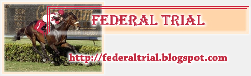 Federal Trial blogspot